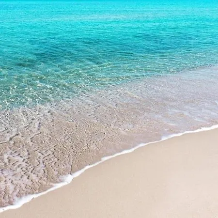 L'isola Di Fimi Isola delle Femmine