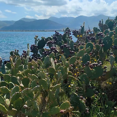 Casa vacanze L'isola Di Fimi Isola delle Femmine