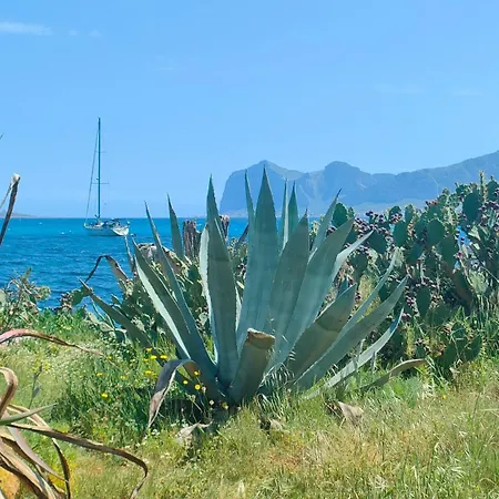 L'isola Di Fimi Isola delle Femmine